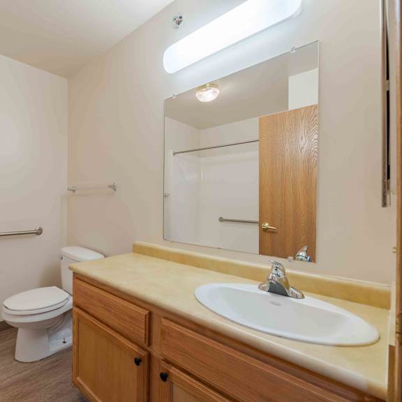 a bathroom with a toilet, sink, and mirror.