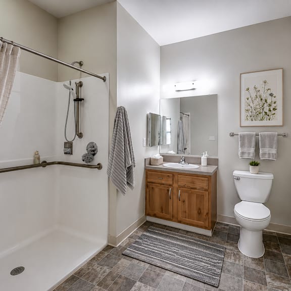 a bathroom with a white toilet, a white bathtub, a wooden cabinet, and a rug on the floor.