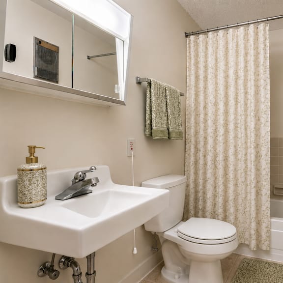 a white sink with a soap dispenser on it and a toilet next to a shower curtain.