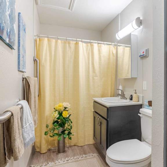 a bathroom with a toilet, sink, and shower curtain.