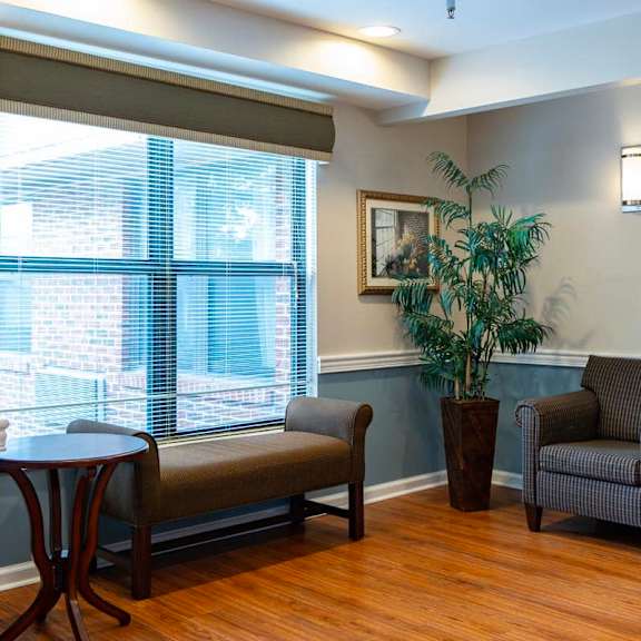 a living room with a couch, chair, and potted plant.
