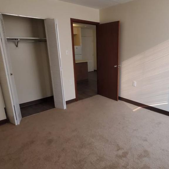 a room with a brown carpet and a white wall with a closet.