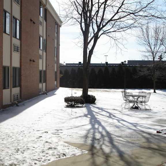 a tree in a courtyard of a building with snow on the ground.