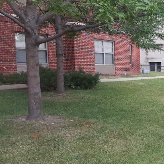 a grassy area in front of a brick building with a tree and a mailbox.