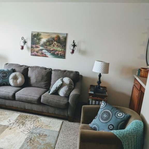 a living room with a grey couch, a patterned pillow, and a painting on the wall.