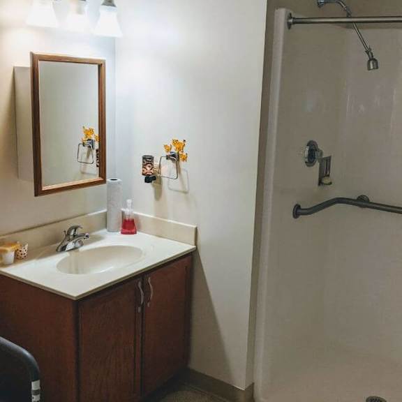 a bathroom with a sink, mirror, and shower.
