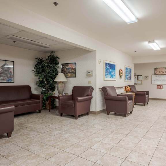 a waiting room with brown leather chairs and a green plant.