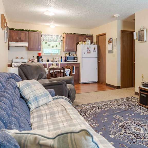 a living room with a couch, a television, and a rug.