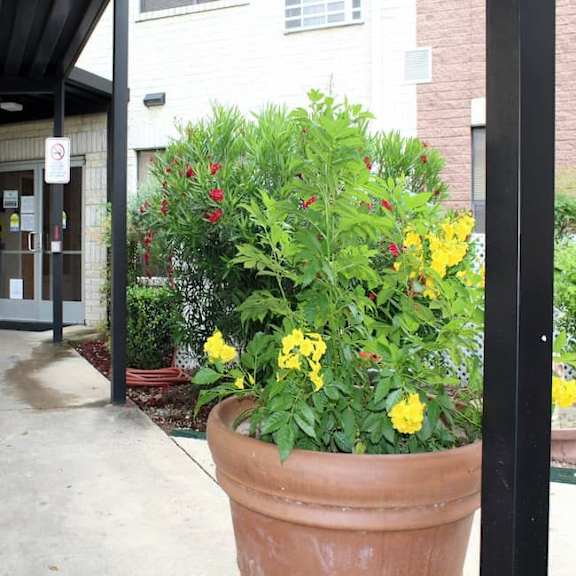 a flower pot with red and yellow flowers in front of a building.