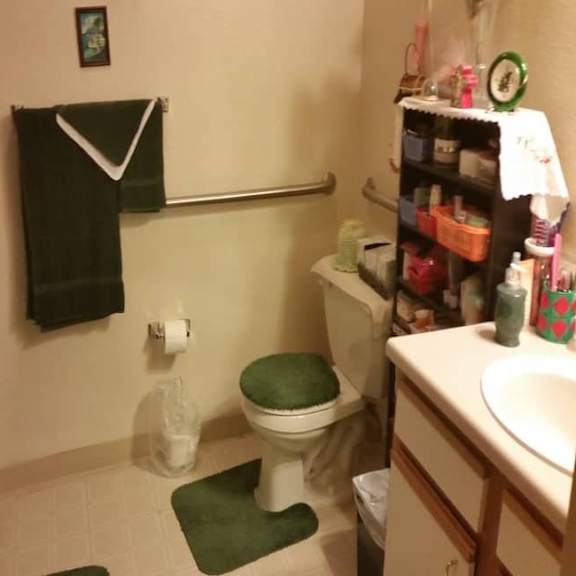 a bathroom with a green toilet mat and a green towel hanging on the wall.