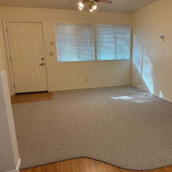 a room with a carpet, a door, and a window with blinds.