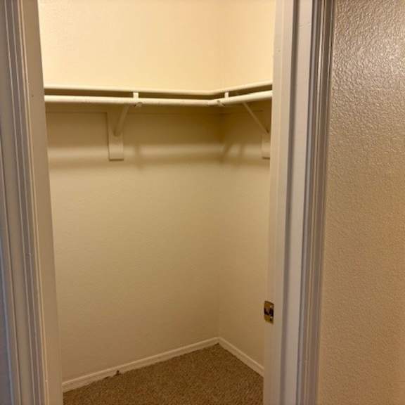 a white closet with a carpeted floor and a door on the right.
