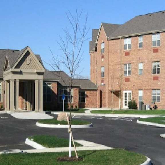 a tree stands in front of a building with a parking lot in front of it.