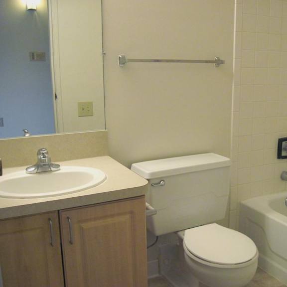 a white toilet sits next to a white bathtub in a bathroom.