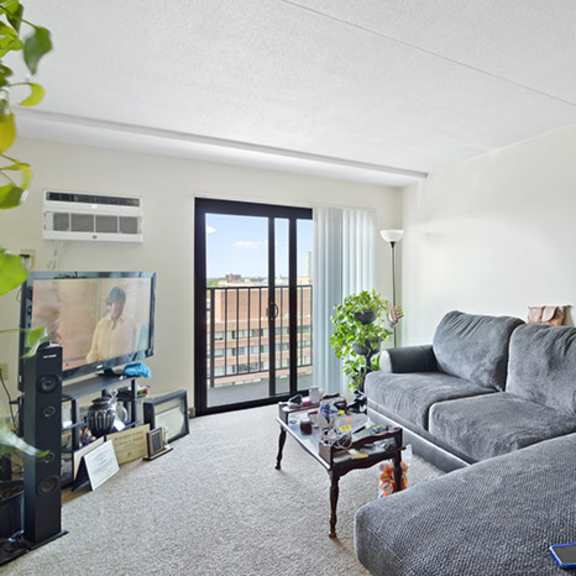 a grey couch in a living room with a table and a plant.