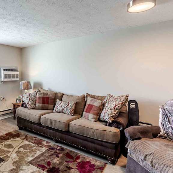 a living room with a couch, chairs, and a rug.