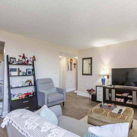 a living room with a grey couch, a black entertainment center, and a white rug.