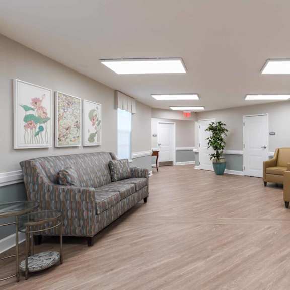a waiting room with a couch, chairs, and a potted plant.