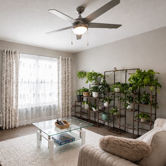 a living room with a flat screen tv, a glass coffee table, a white sofa, and a wall-mounted planter.