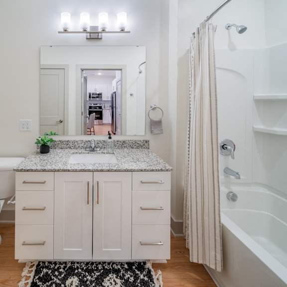 arden at huntersville apartment home bathroom