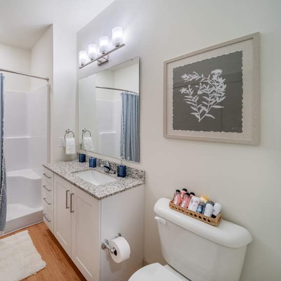bathroom with a walk-in shower