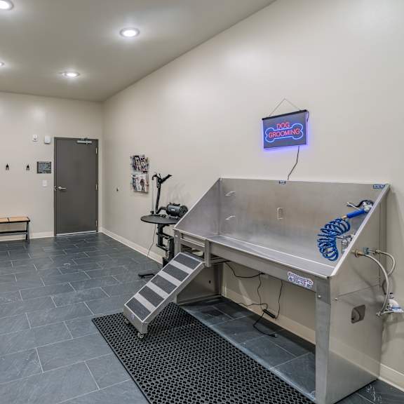 pet spa with a wash station