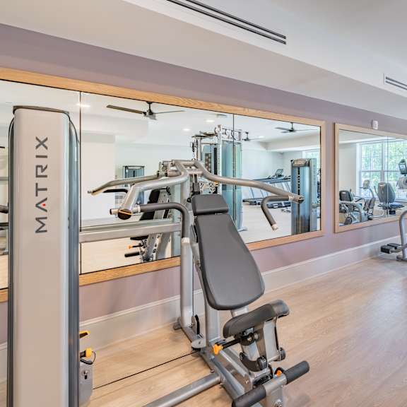 cardio and resistance machines in a fitness center