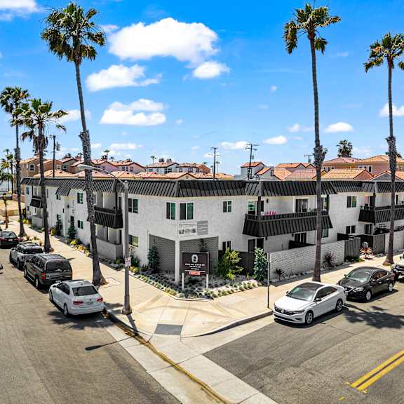 a row of white buildings with palm trees in front.