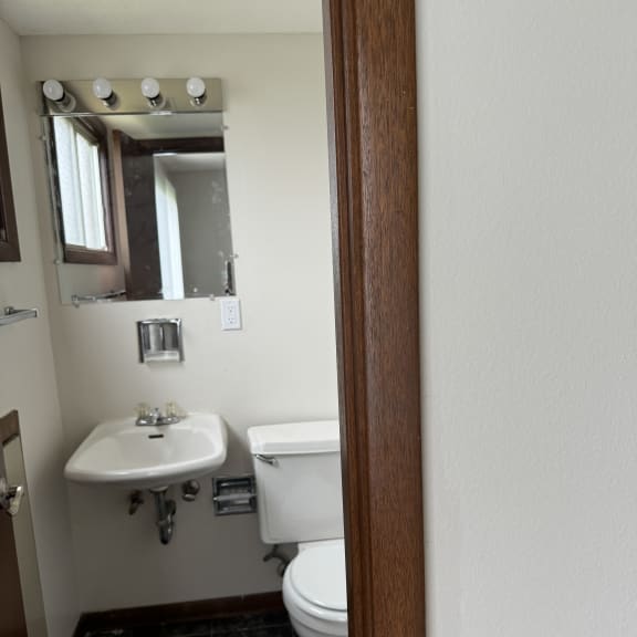 an overhead view of a bathroom with a toilet and a sink