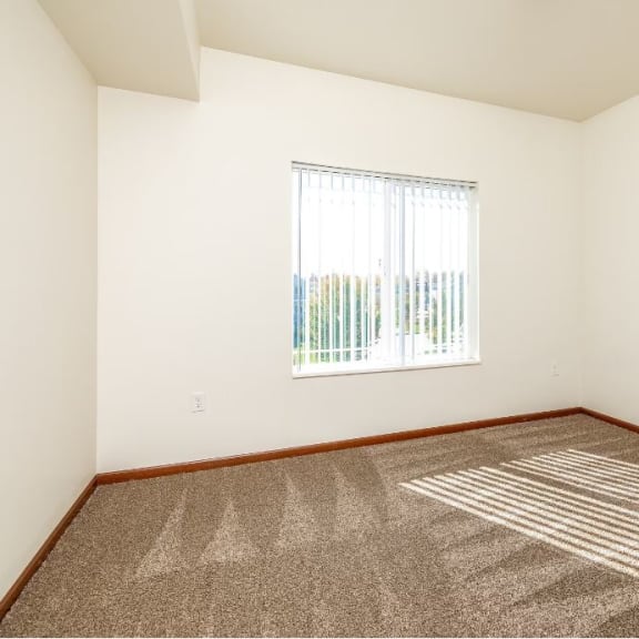 a room with carpet and a window