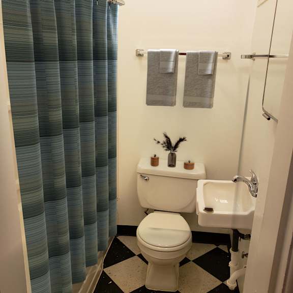 a bathroom with a toilet and a sink and a shower curtain