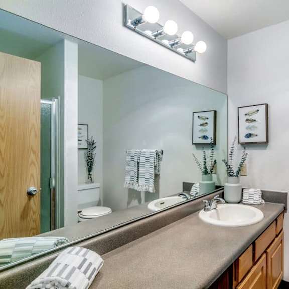 luxurious bathroom at alder creek apartments, washington