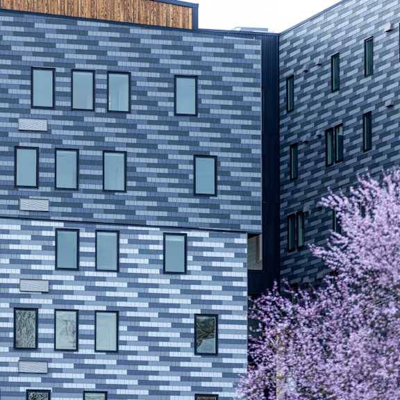 a building with a tree in front of it at moraine, tacoma, washington 98402