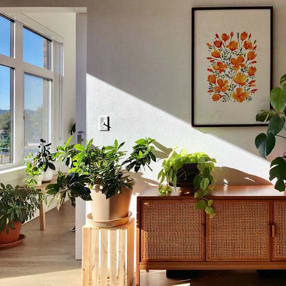 a living room filled with furniture and plants at holm at sellwood, oregon, 97202