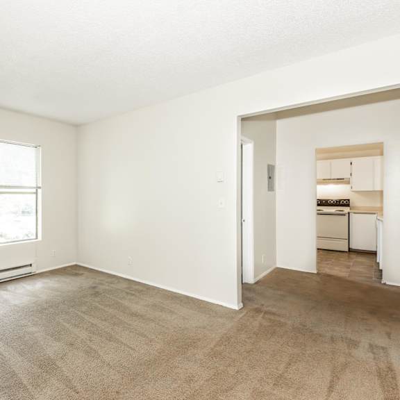 a room with a carpeted floor and two windows.