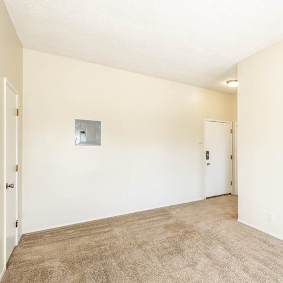 a room with a carpeted floor and two doors.