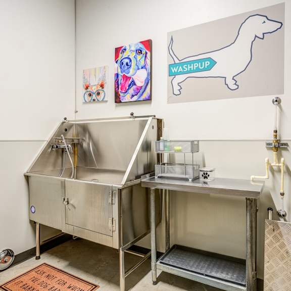 pet wash