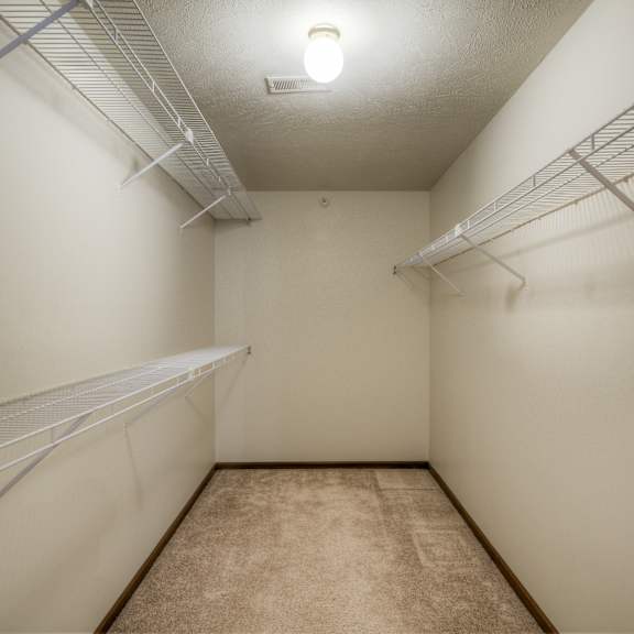 empty walk-in closet with shelves and carpeted floor.