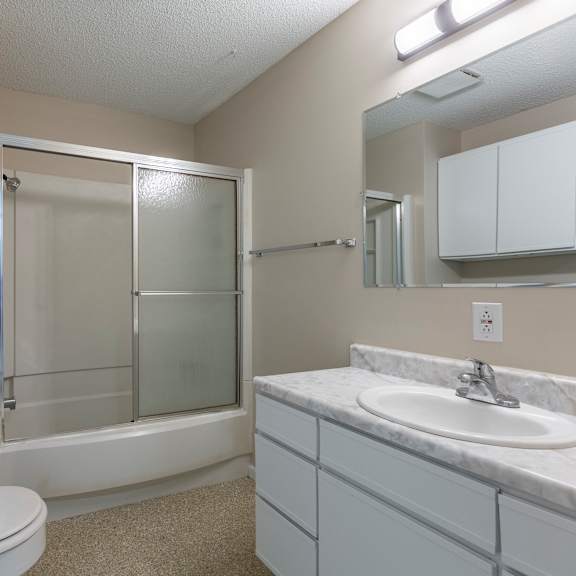 a white toilet sits next to a walk-in shower in a bathroom.