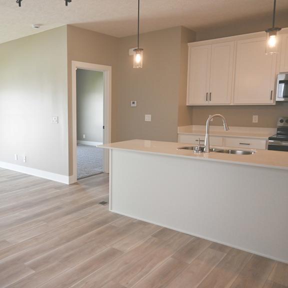 a kitchen with a counter and cabinets.