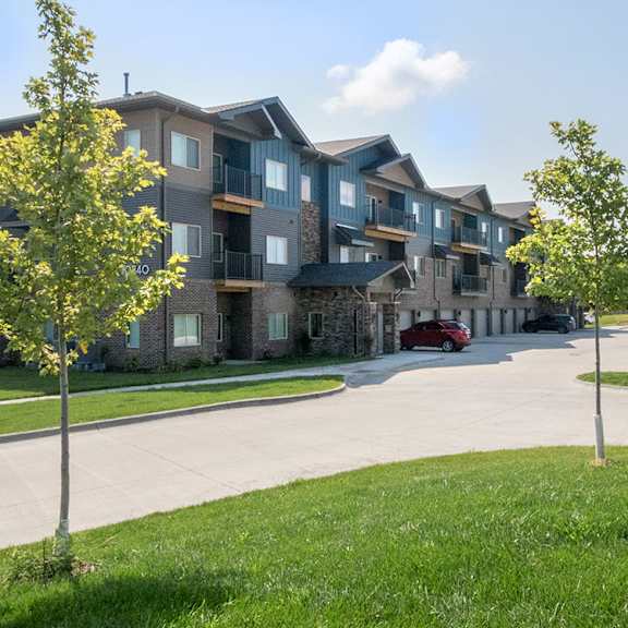 a row of modern houses with a tree in front of them.