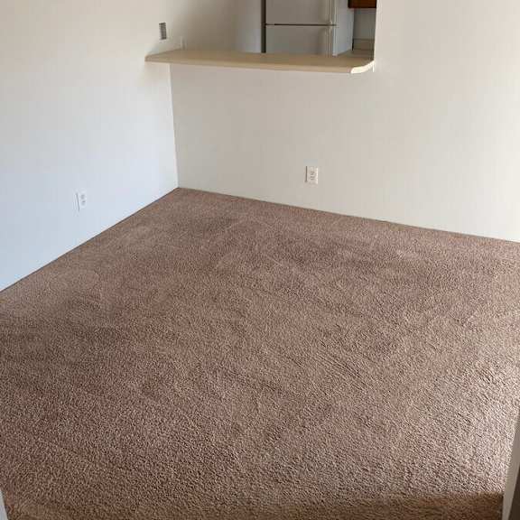 a room with a brown carpet and a white wall.