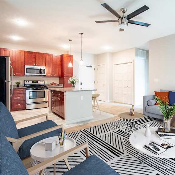 a modern living room with a black and white striped rug on the floor.