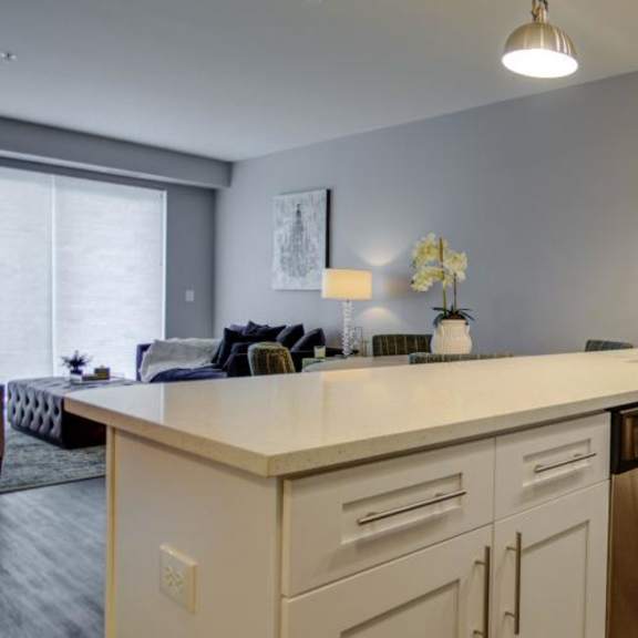 a kitchen with a large counter top and a sink at barrington 101, illinois