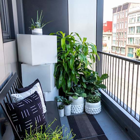a small balcony with plants and a black and white pillow