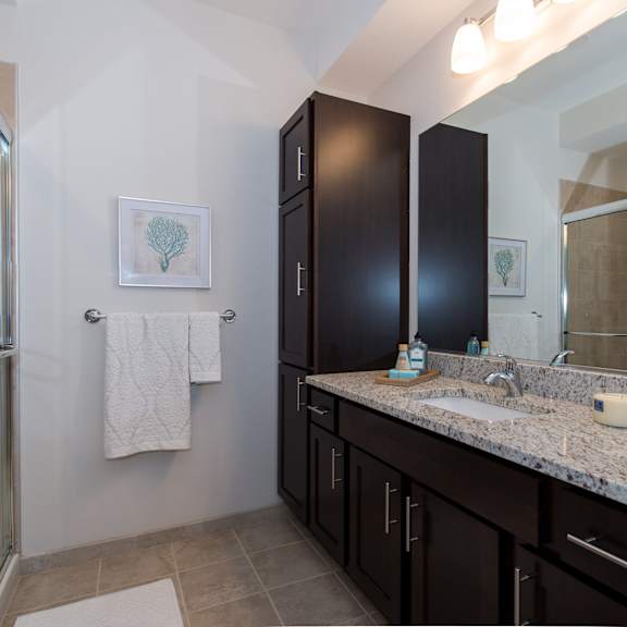 a bathroom with a sink and a shower and a mirror