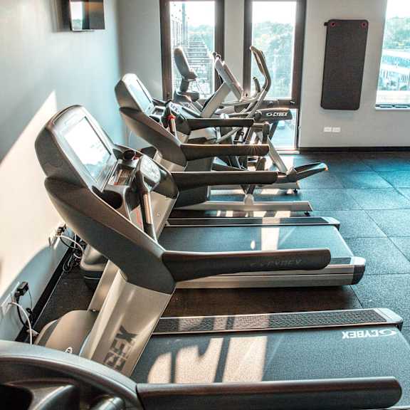 a row of cardio machines in a gym at barrington 101, barrington, 60010