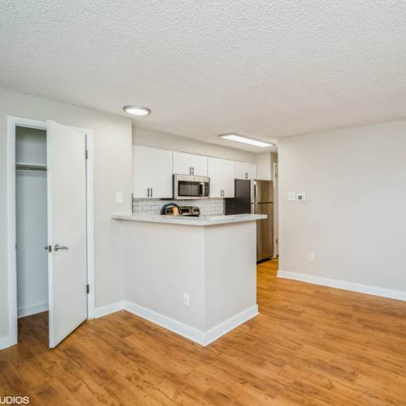 open living area at 1443 elizabeth