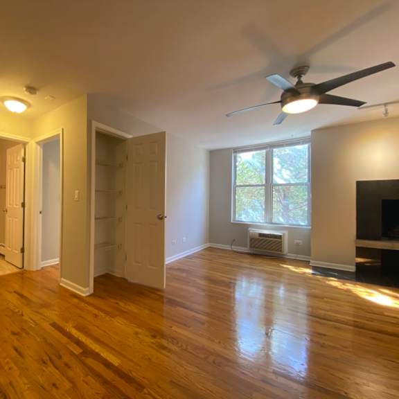 ceiling fan in the living room - large one bedroom