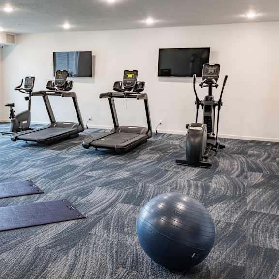a fitness room with exercise balls and yoga mats and a tv